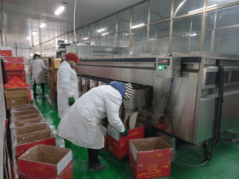 智能转型，系统集成引领未来趋势